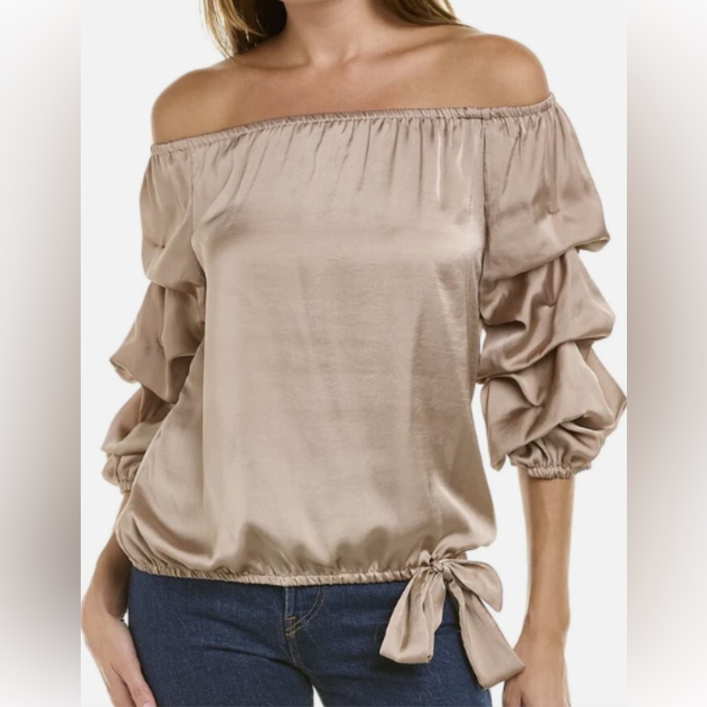 Lantern Puff Sleeve top- MSK CHATO -size small